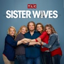 Sister Wives, Season 9 watch, hd download