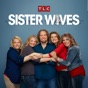 Sister Wives, Season 9