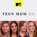 Teen Mom, Vol. 15 cast, spoilers, episodes, reviews