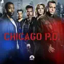 Chicago PD, Season 4 cast, spoilers, episodes, reviews