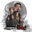 Criminal Minds, Season 12 watch, hd download