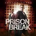 Prison Break, Season 3 cast, spoilers, episodes, reviews