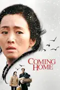 Coming Home summary, synopsis, reviews