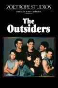 The Outsiders summary, synopsis, reviews