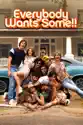 Everybody Wants Some!! summary and reviews