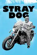 Stray Dog summary, synopsis, reviews