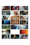 The Tree of Life summary, synopsis, reviews