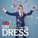 Say Yes to the Dress, Season 14 cast, spoilers, episodes, reviews