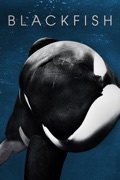 Blackfish reviews, watch and download