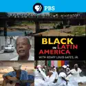 Black in Latin America cast, spoilers, episodes and reviews