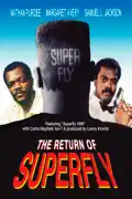 The Return of Superfly summary, synopsis, reviews
