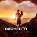 205A (Bachelor in Paradise) recap, spoilers