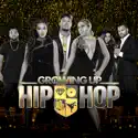 Growing Up Hip Hop, Vol. 2 watch, hd download
