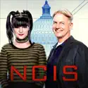 NCIS, Season 14 watch, hd download
