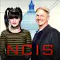 NCIS, Season 14