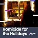 Homicide for the Holidays, Season 1 release date, synopsis, reviews