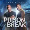 Prison Break, Season 4 watch, hd download