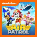 PAW Patrol, Air Patrol cast, spoilers, episodes, reviews