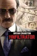 The Infiltrator summary, synopsis, reviews