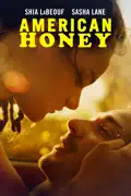 American Honey summary, synopsis, reviews