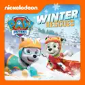 PAW Patrol, Winter Rescues cast, spoilers, episodes, reviews