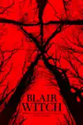 Blair Witch summary, synopsis, reviews