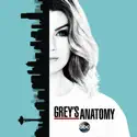 In the Air Tonight (Grey's Anatomy) recap, spoilers