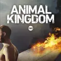 Animal Kingdom, Season 2 watch, hd download